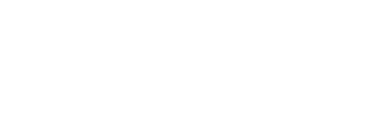 Logo Soncini autodemolizioni, ritiro rottami ferrosi e ricambi auto in bianco